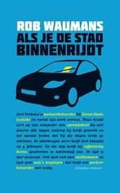 Als je de stad binnenrijdt