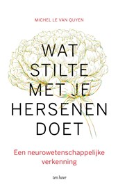 Wat stilte met je hersenen doet