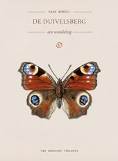 De Duivelsberg