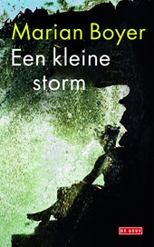 Een kleine storm