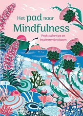 Het pad naar Mindfulness