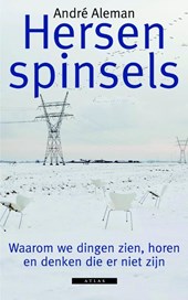 Hersenspinsels