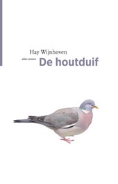 De houtduif