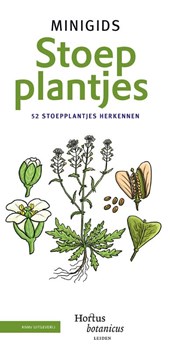 Set Minigids Stoepplantjes
