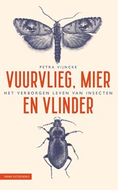 Vuurvlieg, mier en vlinder