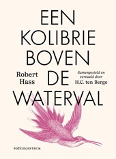 Een kolibrie boven de waterval