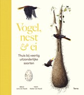 Vogel, nest & ei