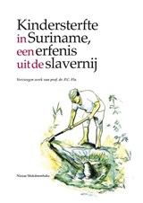 Verzwegen werk van P.C. Flu | Nizaar Makdoembaks | 9789076286198