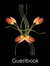 Guestbook Double Dutch Tulips
