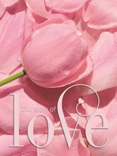 Gastenboek bruiloft LOVE luxe hardcover voor 250 gasten