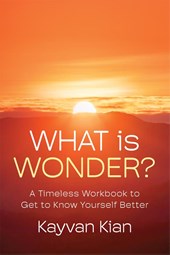 What Is Wonder?