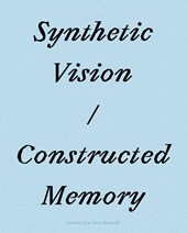 Synthetic Vision / Constructed Memory