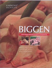 Biggen
