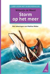 Storm op het meer