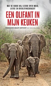 Een olifant in mijn keuken