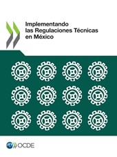 Implementando Las Regulaciones Tecnicas En Mexico