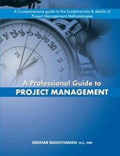 A Professional Guide to Project Management
