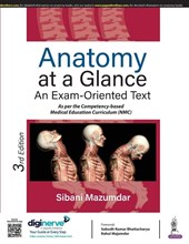 Anatomy at a Glance