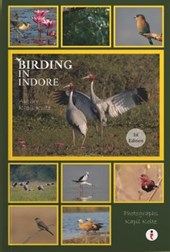 Birding In Indore