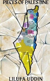 Pieces of Palestine