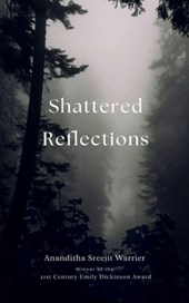 Shattered Reflections