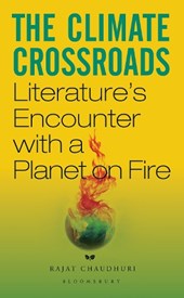 The Climate Crossroads