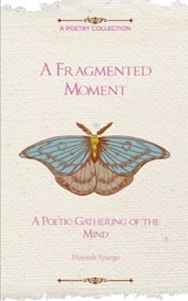 A Fragmented Moment