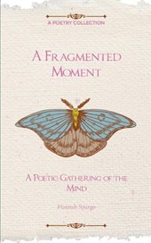 A Fragmented Moment