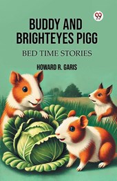 Buddy And Brighteyes PiggBed Time Stories (Edition1)