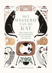 Het mysterie van de kat