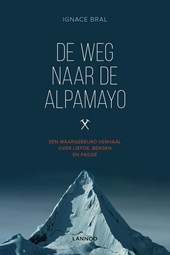 De weg naar Alpamayo