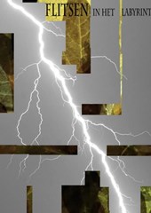 Flitsen in het labyrint