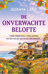 De onverwachte belofte