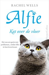 Kat over de vloer