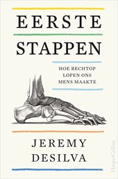 Eerste stappen
