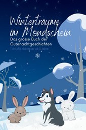 Winterträume im Mondschein