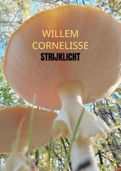Strijklicht