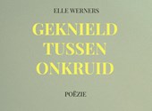 GEKNIELD TUSSEN ONKRUID