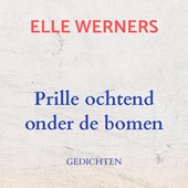 Prille ochtend onder de bomen