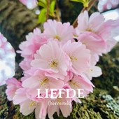 Liefde
