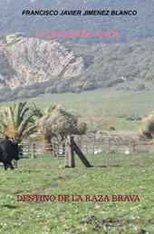 LA CORRIDA DE TOROS