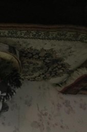 het meisje dat kerst vierd