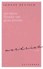 Een kleine filosofie van grote emoties: Verdriet
