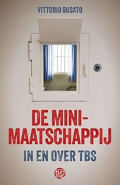De minimaatschappij
