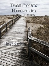 Twaalf erotische homoverhalen