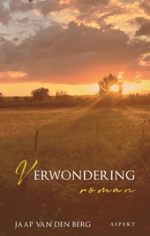 Verwondering
