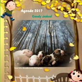 Agenda klein bull terrier friends 2017