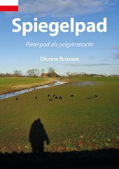 Spiegelpad
