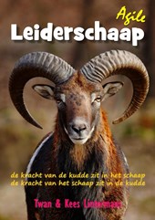 Agile leiderschaap
