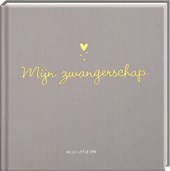 Baby invulboeken - Mijn zwangerschap